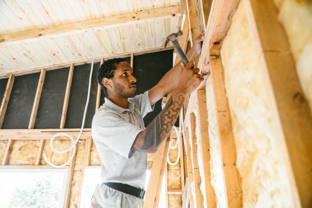 Best Attic Insulation Installation  in Rich Hill, MO